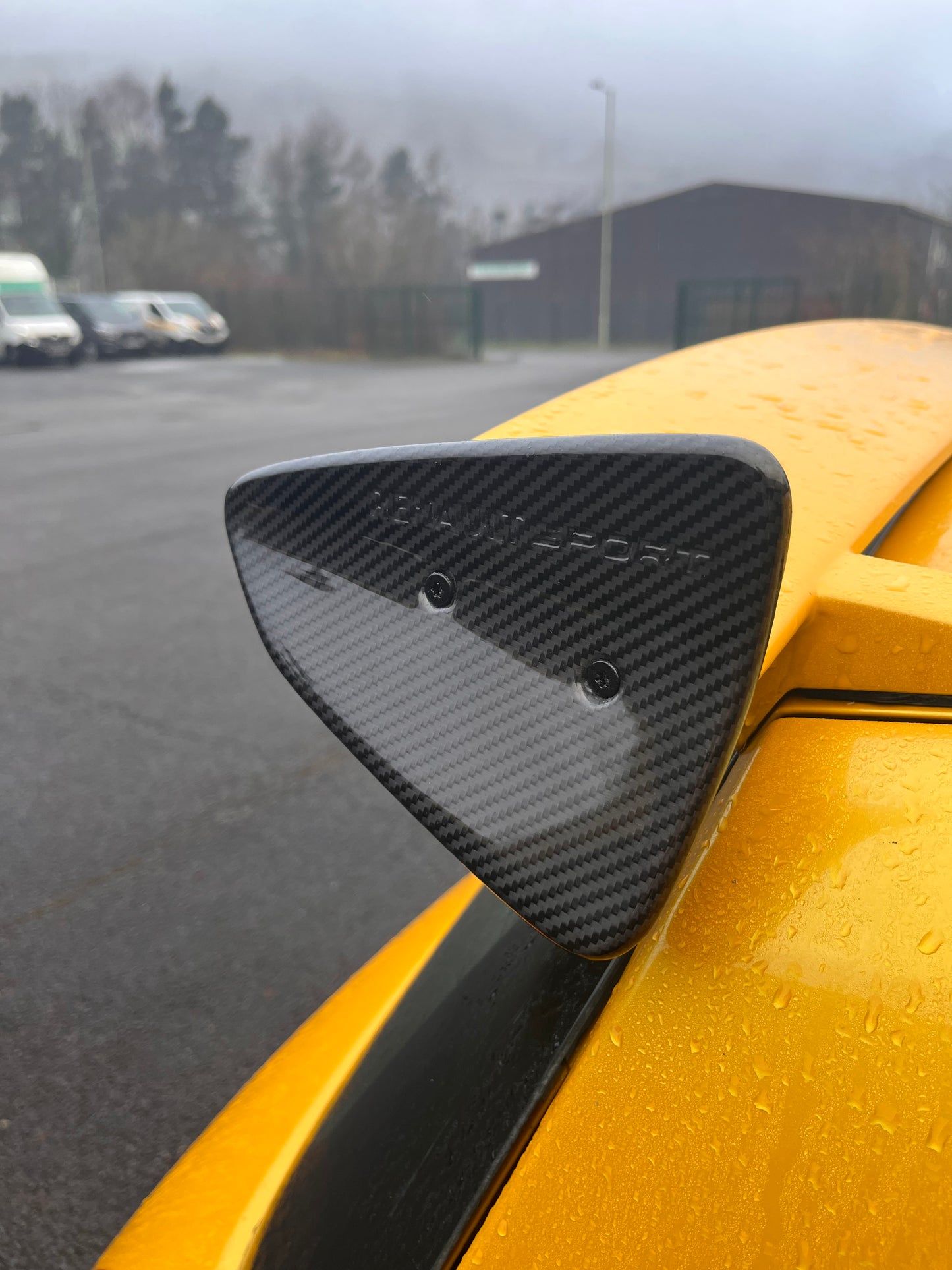 Mk3 Clio Rs cup Spoiler End caps